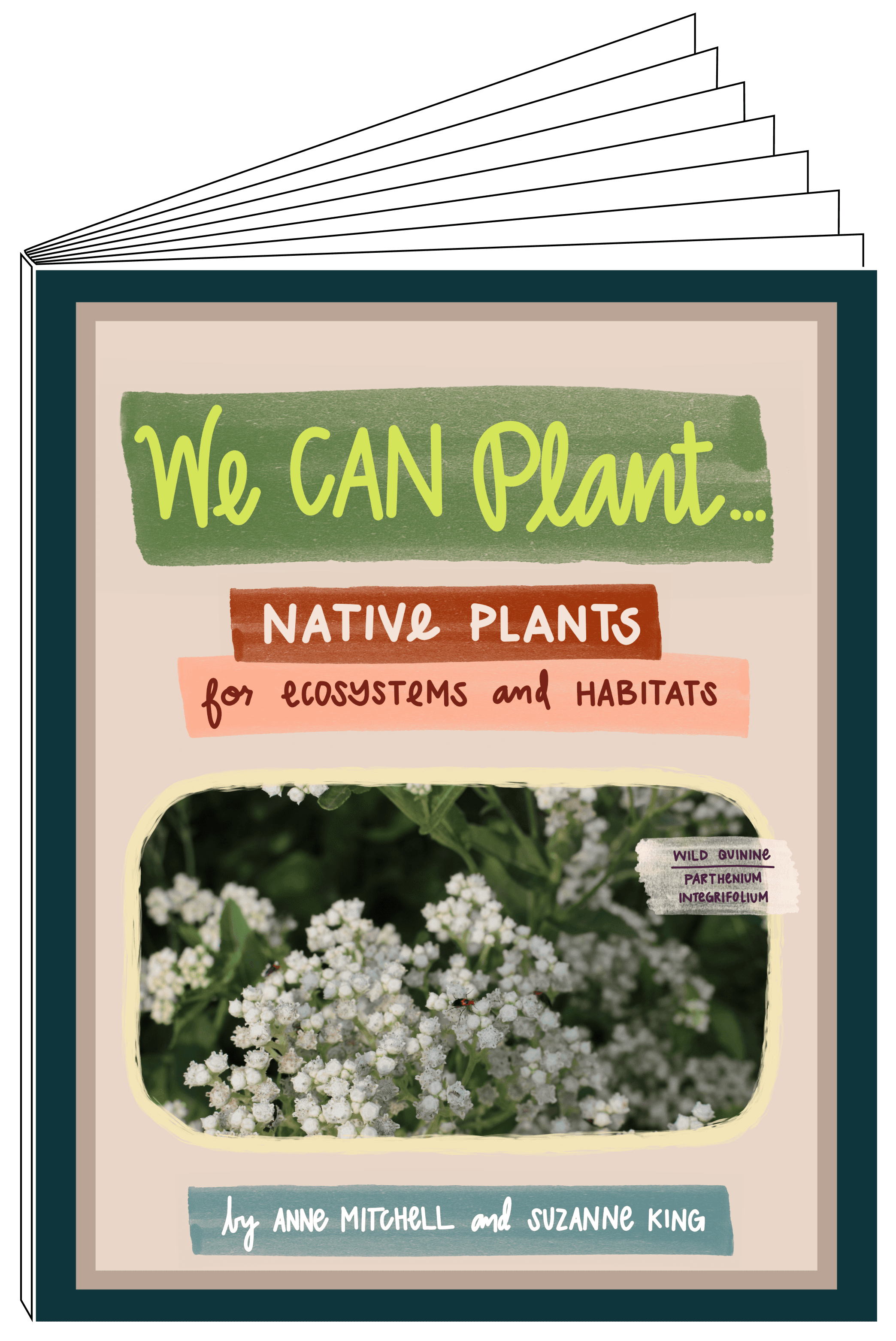 "We Can Plant..." - native plants for ecosystems and habitats. By Anne Mitchell.